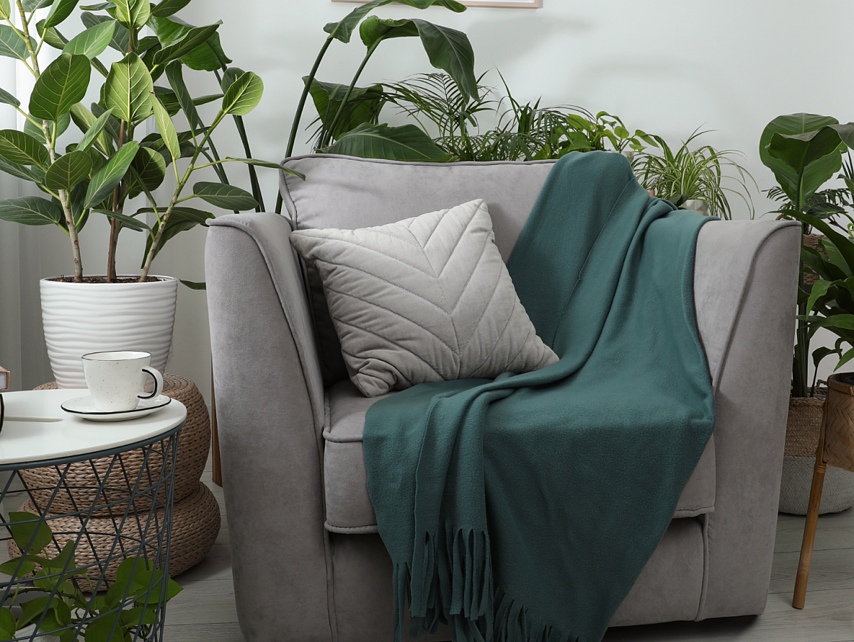 Gray Chair Green Blanket